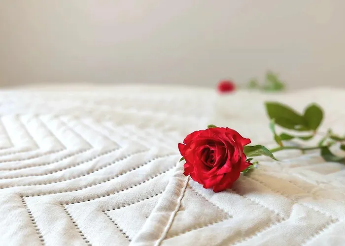 아파트 Gwiazda Jantaru By Triapart *