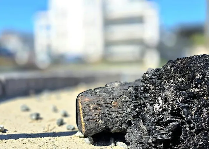 아파트 Gwiazda Jantaru By Triapart 얀타르